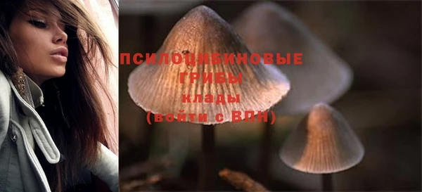 соль ск Балахна