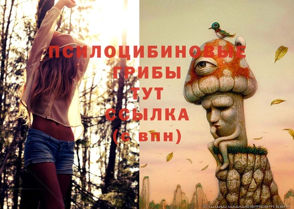 марихуана Баксан