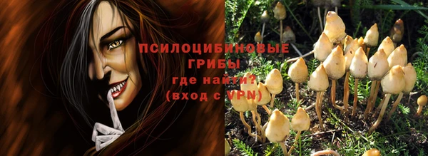 соль ск Балахна
