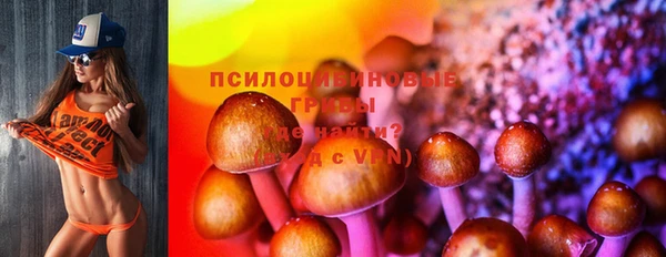 стаф Балабаново