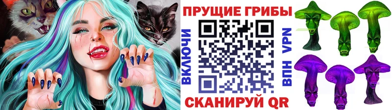 kraken зеркало  закладка  Протвино  Псилоцибиновые грибы Cubensis 